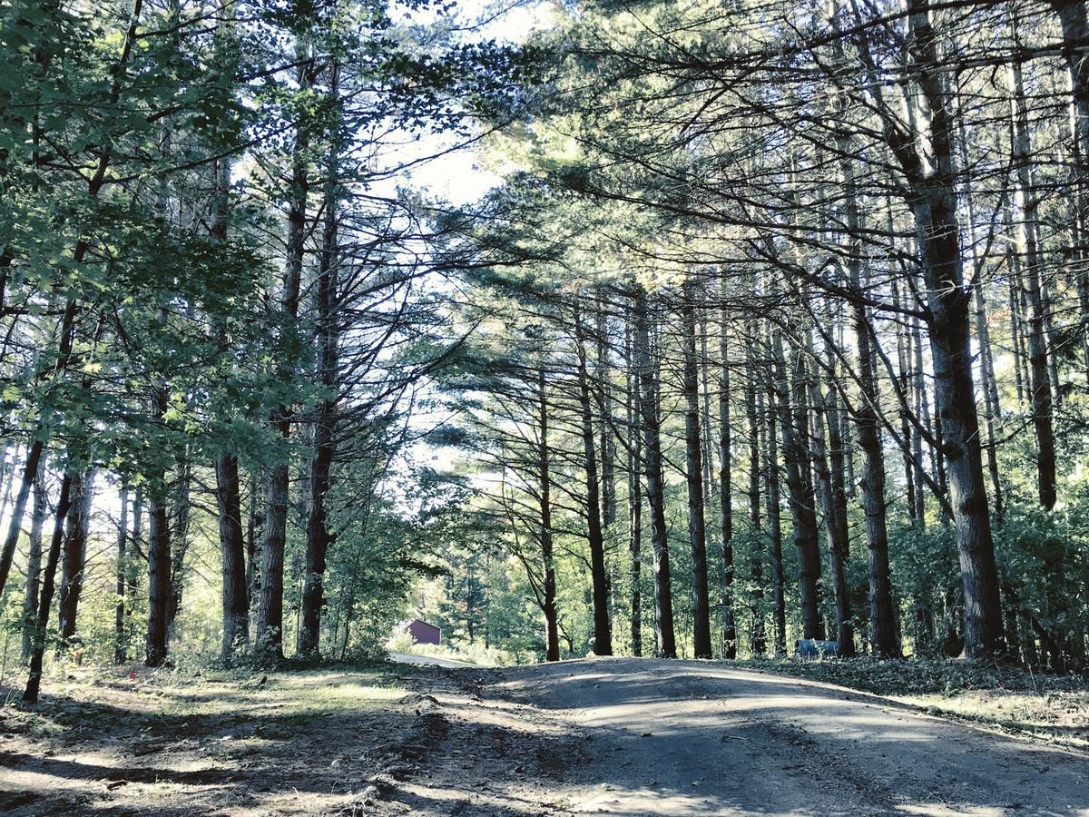 Highland Lodge Greensboro 외부 사진